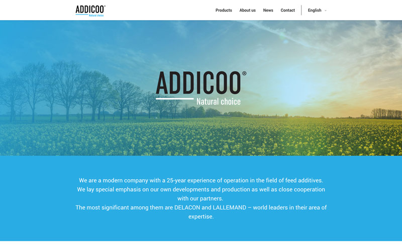 www.addicoo.com